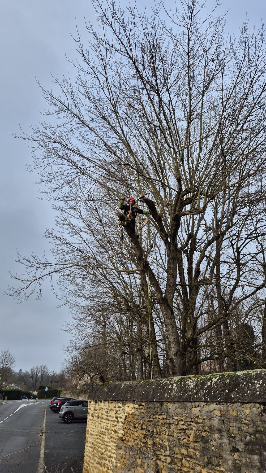 Elagage avec retention